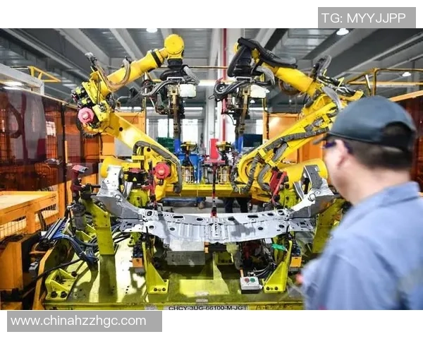 广州篮球队的现状揭秘与未来展望全景分析