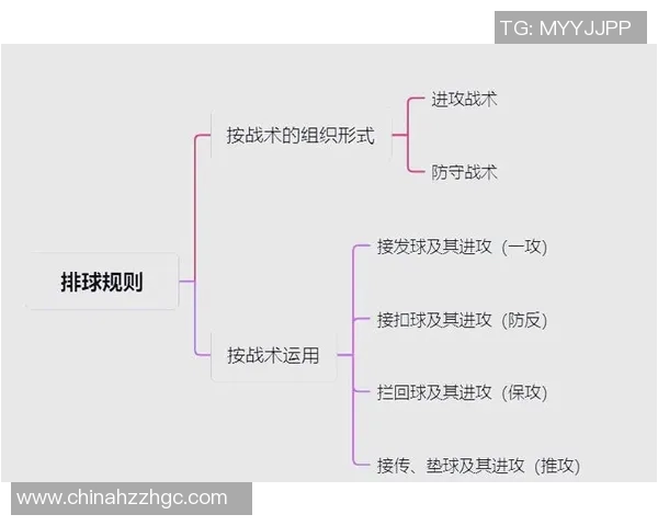 深圳排球队战术解析：从进攻到防守的全面策略探讨与实践